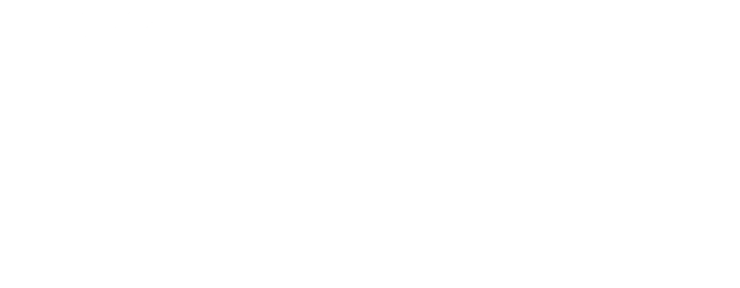 Ana Vieira — Leveza Energética